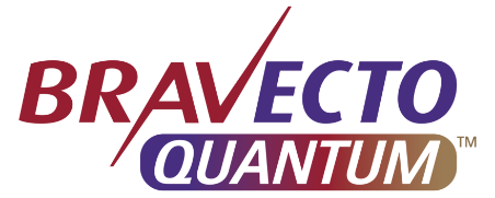 Bravecto Quantum™ | Year-Long Flea Protection For Dogs