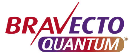 Bravecto Quantum - New Zealand